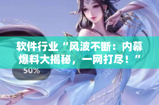 軟件行業(yè)“風(fēng)波不斷：內(nèi)幕爆料大揭秘，一網(wǎng)打盡！”