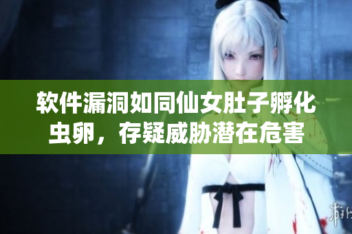 軟件漏洞如同仙女肚子孵化蟲卵，存疑威脅潛在危害