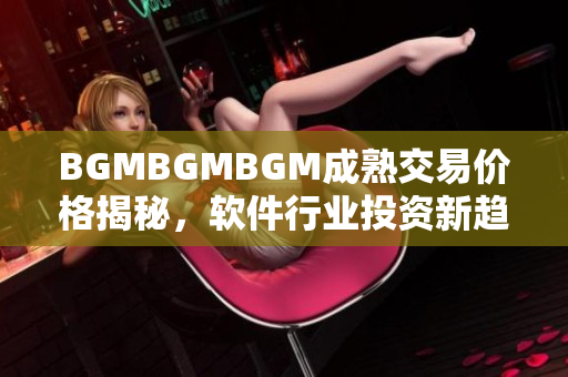 BGMBGMBGM成熟交易價格揭秘，軟件行業(yè)投資新趨勢揭示