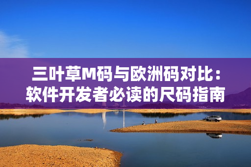 三葉草M碼與歐洲碼對(duì)比：軟件開(kāi)發(fā)者必讀的尺碼指南