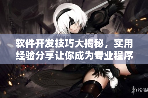 軟件開發(fā)技巧大揭秘，實用經(jīng)驗分享讓你成為專業(yè)程序員