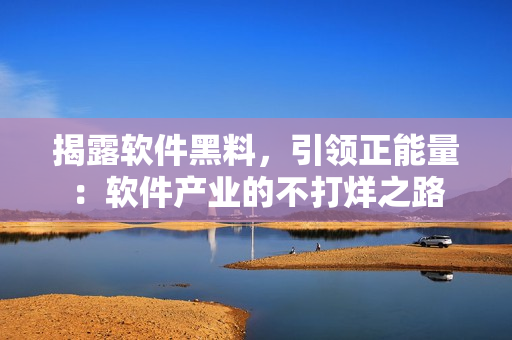 揭露軟件黑料，引領(lǐng)正能量：軟件產(chǎn)業(yè)的不打烊之路