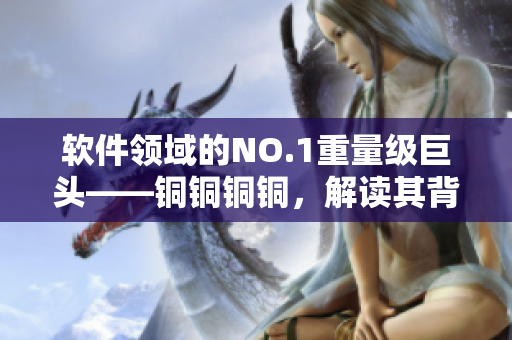 軟件領(lǐng)域的NO.1重量級(jí)巨頭——銅銅銅銅，解讀其背后的成功密碼