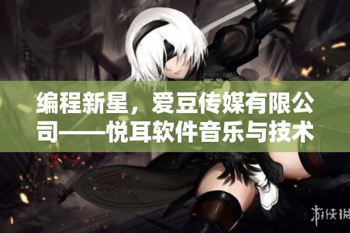 編程新星，愛豆傳媒有限公司——悅耳軟件音樂與技術(shù)結(jié)合的天空開拓者