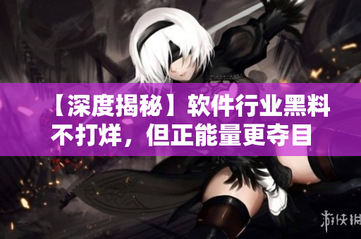 【深度揭秘】軟件行業(yè)黑料不打烊，但正能量更奪目