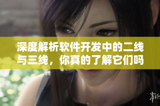 深度解析軟件開發(fā)中的二線與三線，你真的了解它們嗎？