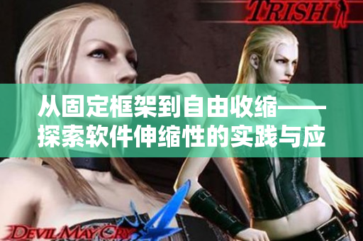 從固定框架到自由收縮——探索軟件伸縮性的實踐與應用視頻