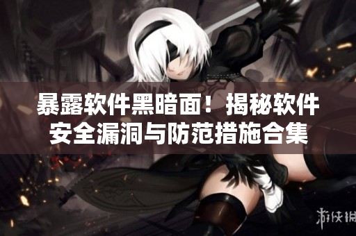 暴露軟件黑暗面！揭秘軟件安全漏洞與防范措施合集