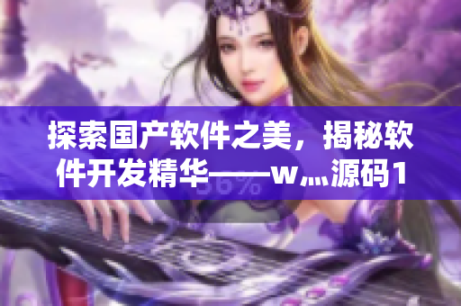 探索國產(chǎn)軟件之美，揭秘軟件開發(fā)精華——w灬源碼1688詳解