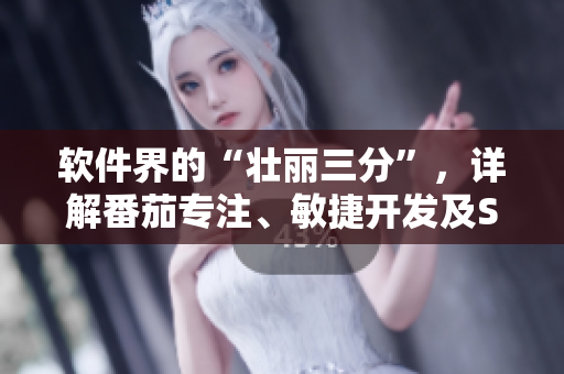 軟件界的“壯麗三分”，詳解番茄專注、敏捷開發(fā)及Scrum管理法