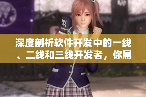 深度剖析軟件開(kāi)發(fā)中的一線、二線和三線開(kāi)發(fā)者，你屬于哪類(lèi)