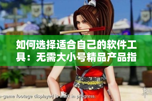 如何選擇適合自己的軟件工具：無(wú)需大小號(hào)精品產(chǎn)品指南