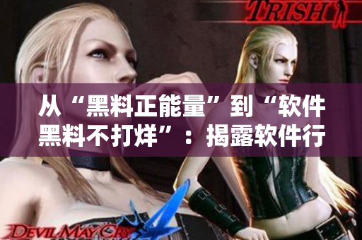 從“黑料正能量”到“軟件黑料不打烊”：揭露軟件行業(yè)的黑暗真相！