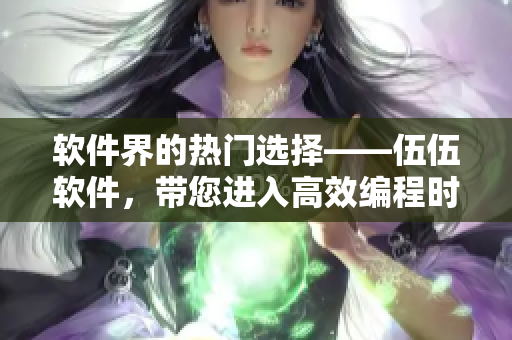 軟件界的熱門選擇——伍伍軟件，帶您進(jìn)入高效編程時代