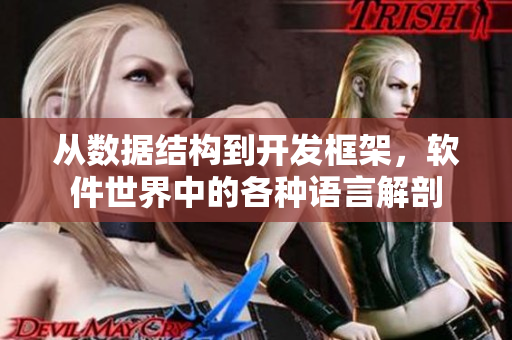 從數(shù)據(jù)結(jié)構(gòu)到開發(fā)框架,軟件世界中的各種語言解剖 從數(shù)據(jù)結(jié)構(gòu)到開發(fā)框架,軟件世界中的各種語言解剖