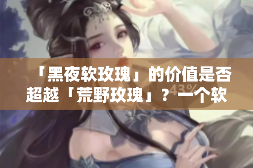 「黑夜軟玫瑰」的價值是否超越「荒野玫瑰」？一個軟件行業(yè)的比擬