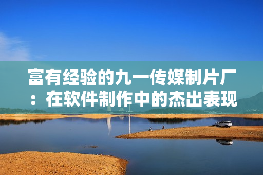 富有經(jīng)驗(yàn)的九一傳媒制片廠：在軟件制作中的杰出表現(xiàn)