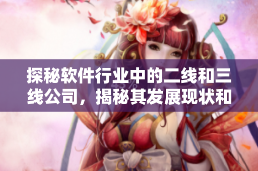 探秘軟件行業(yè)中的二線和三線公司，揭秘其發(fā)展現(xiàn)狀和未來前景