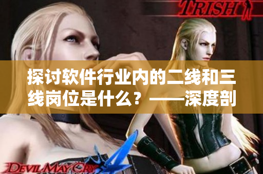 探討軟件行業(yè)內(nèi)的二線和三線崗位是什么？——深度剖析與比較