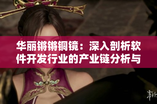華麗鏘鏘銅鏡：深入剖析軟件開(kāi)發(fā)行業(yè)的產(chǎn)業(yè)鏈分析與趨勢(shì)預(yù)測(cè)