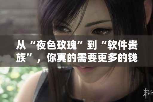 從“夜色玫瑰”到“軟件貴族”，你真的需要更多的錢嗎？