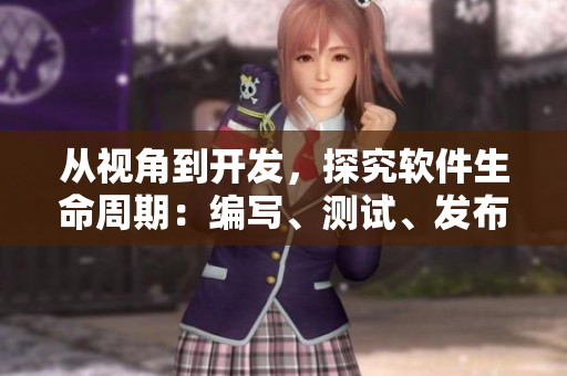從視角到開發(fā)，探究軟件生命周期：編寫、測試、發(fā)布、維護、升級