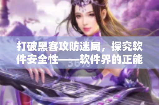 打破黑客攻防迷局，探究軟件安全性——軟件界的正能量