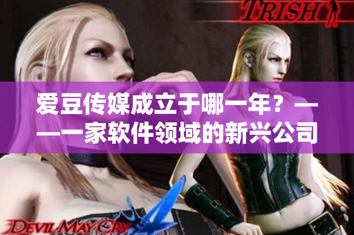 愛豆傳媒成立于哪一年？——一家軟件領域的新興公司的誕生！