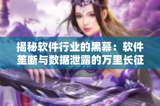 揭秘軟件行業(yè)的黑幕:軟件壟斷與數(shù)據(jù)泄露的萬里長征 揭秘軟件行業(yè)的黑幕:軟件壟斷與數(shù)據(jù)泄露的萬里長征