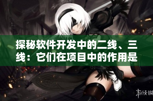 探秘軟件開發(fā)中的二線、三線：它們?cè)陧?xiàng)目中的作用是什么？