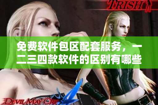 免費(fèi)軟件包區(qū)配套服務(wù)，一二三四款軟件的區(qū)別有哪些？