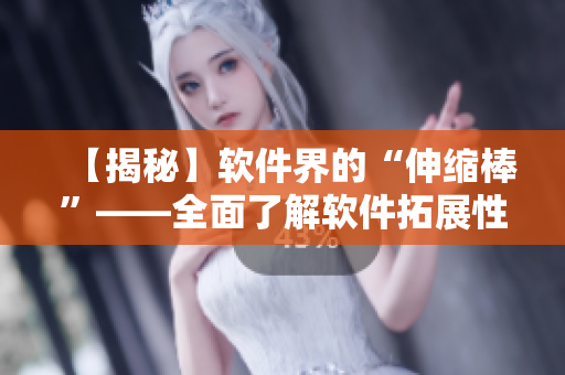 【揭秘】軟件界的“伸縮棒”——全面了解軟件拓展性的重要性與實(shí)踐方法！