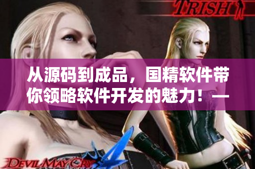 從源碼到成品，國精軟件帶你領(lǐng)略軟件開發(fā)的魅力！——國精軟件源碼解析