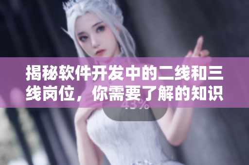 揭秘軟件開發(fā)中的二線和三線崗位，你需要了解的知識點