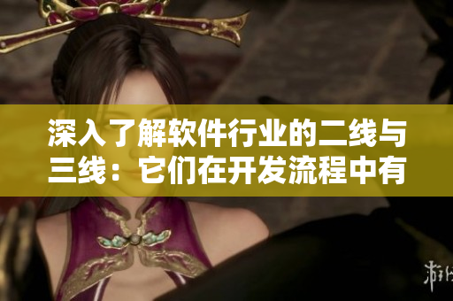 深入了解軟件行業(yè)的二線與三線：它們?cè)陂_發(fā)流程中有何不同？