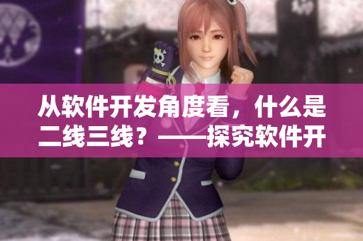 從軟件開發(fā)角度看，什么是二線三線？——探究軟件開發(fā)中常用的術(shù)語。