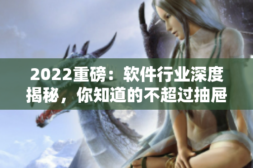 2022重磅：軟件行業(yè)深度揭秘，你知道的不超過(guò)抽屜里的那些代碼！