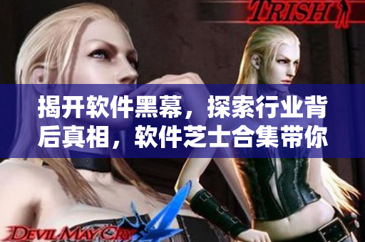 揭開軟件黑幕，探索行業(yè)背后真相，軟件芝士合集帶你深入了解軟件開發(fā)