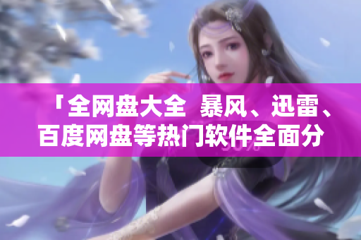 「全網(wǎng)盤大全  暴風(fēng)、迅雷、百度網(wǎng)盤等熱門軟件全面分析」