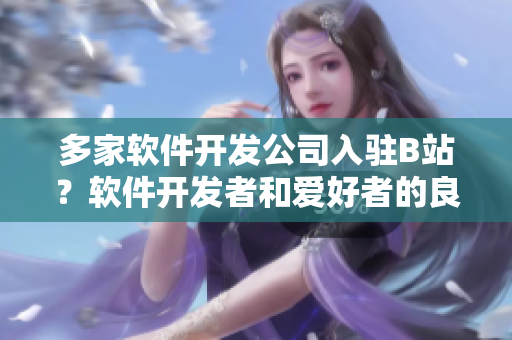 多家軟件開發(fā)公司入駐B站？軟件開發(fā)者和愛好者的良好交流平臺！