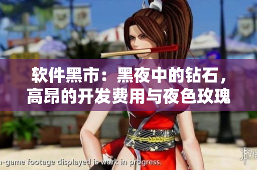 軟件黑市：黑夜中的鉆石，高昂的開發(fā)費(fèi)用與夜色玫瑰有何不同？
