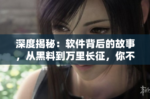 深度揭秘：軟件背后的故事，從黑料到萬里長征，你不得不看！