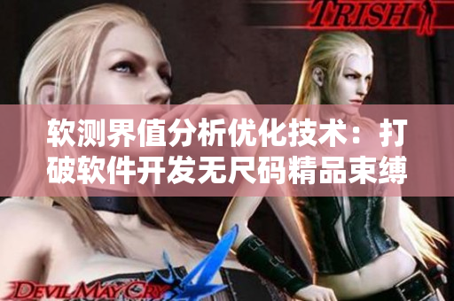 軟測(cè)界值分析優(yōu)化技術(shù)：打破軟件開發(fā)無尺碼精品束縛